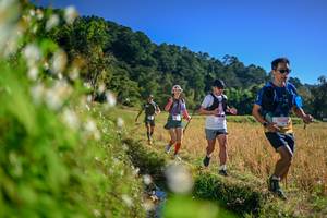 BIB: 
                            <button type="button" onclick="openModal(26571760)" class="btn btn-primary btn-sm float-right btn-popup" data-toggle="modal" data-target=".modal-high-quality">
                        <i class="fas fa-shopping-cart"></i> Add to Cart
                    </button>
                                            <button type="button" onclick="isThisMe(26571760, true)" class="btn btn-success btn-sm float-right btn-popup btn-isme hidden" data-toggle="tooltip" data-placement="bottom" title="นี่คือรูปของคุณใช่ไหม คลิกที่นี่เพื่อเอาเข้าอัลบั้ม">
                        <i class="fas fa-plus"></i> Add to album
                    </button>
                    <button type="button" onclick="isThisMe(26571760, false)" class="btn btn-warning btn-sm float-right btn-popup btn-isnotme hidden">
                        <i class="fas fa-ban"></i> Remove from album
                    </button>