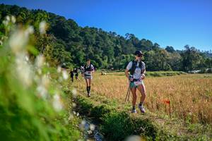 BIB: 
                            <button type="button" onclick="openModal(26571634)" class="btn btn-primary btn-sm float-right btn-popup" data-toggle="modal" data-target=".modal-high-quality">
                        <i class="fas fa-shopping-cart"></i> Add to Cart
                    </button>
                                            <button type="button" onclick="isThisMe(26571634, true)" class="btn btn-success btn-sm float-right btn-popup btn-isme hidden" data-toggle="tooltip" data-placement="bottom" title="นี่คือรูปของคุณใช่ไหม คลิกที่นี่เพื่อเอาเข้าอัลบั้ม">
                        <i class="fas fa-plus"></i> Add to album
                    </button>
                    <button type="button" onclick="isThisMe(26571634, false)" class="btn btn-warning btn-sm float-right btn-popup btn-isnotme hidden">
                        <i class="fas fa-ban"></i> Remove from album
                    </button>