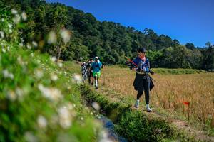 BIB: 
                            <button type="button" onclick="openModal(26582585)" class="btn btn-primary btn-sm float-right btn-popup" data-toggle="modal" data-target=".modal-high-quality">
                        <i class="fas fa-shopping-cart"></i> Add to Cart
                    </button>
                                            <button type="button" onclick="isThisMe(26582585, true)" class="btn btn-success btn-sm float-right btn-popup btn-isme hidden" data-toggle="tooltip" data-placement="bottom" title="นี่คือรูปของคุณใช่ไหม คลิกที่นี่เพื่อเอาเข้าอัลบั้ม">
                        <i class="fas fa-plus"></i> Add to album
                    </button>
                    <button type="button" onclick="isThisMe(26582585, false)" class="btn btn-warning btn-sm float-right btn-popup btn-isnotme hidden">
                        <i class="fas fa-ban"></i> Remove from album
                    </button>