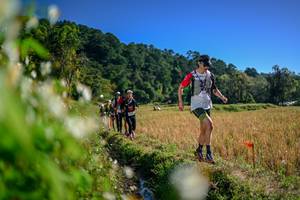 BIB: 
                            <button type="button" onclick="openModal(26573959)" class="btn btn-primary btn-sm float-right btn-popup" data-toggle="modal" data-target=".modal-high-quality">
                        <i class="fas fa-shopping-cart"></i> Add to Cart
                    </button>
                                            <button type="button" onclick="isThisMe(26573959, true)" class="btn btn-success btn-sm float-right btn-popup btn-isme hidden" data-toggle="tooltip" data-placement="bottom" title="นี่คือรูปของคุณใช่ไหม คลิกที่นี่เพื่อเอาเข้าอัลบั้ม">
                        <i class="fas fa-plus"></i> Add to album
                    </button>
                    <button type="button" onclick="isThisMe(26573959, false)" class="btn btn-warning btn-sm float-right btn-popup btn-isnotme hidden">
                        <i class="fas fa-ban"></i> Remove from album
                    </button>