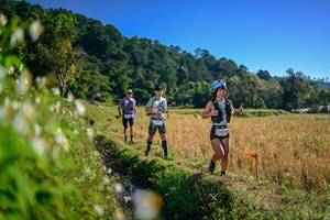 BIB: 
                            <button type="button" onclick="openModal(26571582)" class="btn btn-primary btn-sm float-right btn-popup" data-toggle="modal" data-target=".modal-high-quality">
                        <i class="fas fa-shopping-cart"></i> Add to Cart
                    </button>
                                            <button type="button" onclick="isThisMe(26571582, true)" class="btn btn-success btn-sm float-right btn-popup btn-isme hidden" data-toggle="tooltip" data-placement="bottom" title="นี่คือรูปของคุณใช่ไหม คลิกที่นี่เพื่อเอาเข้าอัลบั้ม">
                        <i class="fas fa-plus"></i> Add to album
                    </button>
                    <button type="button" onclick="isThisMe(26571582, false)" class="btn btn-warning btn-sm float-right btn-popup btn-isnotme hidden">
                        <i class="fas fa-ban"></i> Remove from album
                    </button>