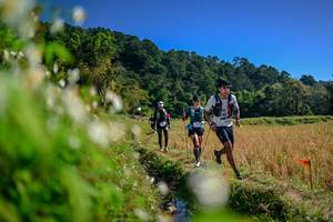 BIB: 
                            <button type="button" onclick="openModal(26573774)" class="btn btn-primary btn-sm float-right btn-popup" data-toggle="modal" data-target=".modal-high-quality">
                        <i class="fas fa-shopping-cart"></i> Add to Cart
                    </button>
                                            <button type="button" onclick="isThisMe(26573774, true)" class="btn btn-success btn-sm float-right btn-popup btn-isme hidden" data-toggle="tooltip" data-placement="bottom" title="นี่คือรูปของคุณใช่ไหม คลิกที่นี่เพื่อเอาเข้าอัลบั้ม">
                        <i class="fas fa-plus"></i> Add to album
                    </button>
                    <button type="button" onclick="isThisMe(26573774, false)" class="btn btn-warning btn-sm float-right btn-popup btn-isnotme hidden">
                        <i class="fas fa-ban"></i> Remove from album
                    </button>