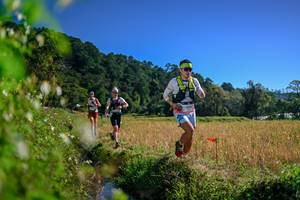 BIB: 
                            <button type="button" onclick="openModal(26579889)" class="btn btn-primary btn-sm float-right btn-popup" data-toggle="modal" data-target=".modal-high-quality">
                        <i class="fas fa-shopping-cart"></i> Add to Cart
                    </button>
                                            <button type="button" onclick="isThisMe(26579889, true)" class="btn btn-success btn-sm float-right btn-popup btn-isme hidden" data-toggle="tooltip" data-placement="bottom" title="นี่คือรูปของคุณใช่ไหม คลิกที่นี่เพื่อเอาเข้าอัลบั้ม">
                        <i class="fas fa-plus"></i> Add to album
                    </button>
                    <button type="button" onclick="isThisMe(26579889, false)" class="btn btn-warning btn-sm float-right btn-popup btn-isnotme hidden">
                        <i class="fas fa-ban"></i> Remove from album
                    </button>