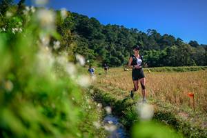 BIB: 
                            <button type="button" onclick="openModal(26574415)" class="btn btn-primary btn-sm float-right btn-popup" data-toggle="modal" data-target=".modal-high-quality">
                        <i class="fas fa-shopping-cart"></i> Add to Cart
                    </button>
                                            <button type="button" onclick="isThisMe(26574415, true)" class="btn btn-success btn-sm float-right btn-popup btn-isme hidden" data-toggle="tooltip" data-placement="bottom" title="นี่คือรูปของคุณใช่ไหม คลิกที่นี่เพื่อเอาเข้าอัลบั้ม">
                        <i class="fas fa-plus"></i> Add to album
                    </button>
                    <button type="button" onclick="isThisMe(26574415, false)" class="btn btn-warning btn-sm float-right btn-popup btn-isnotme hidden">
                        <i class="fas fa-ban"></i> Remove from album
                    </button>