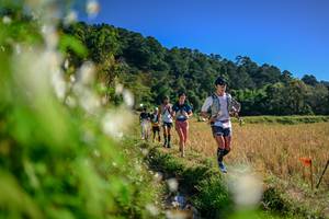 BIB: 
                            <button type="button" onclick="openModal(26573283)" class="btn btn-primary btn-sm float-right btn-popup" data-toggle="modal" data-target=".modal-high-quality">
                        <i class="fas fa-shopping-cart"></i> Add to Cart
                    </button>
                                            <button type="button" onclick="isThisMe(26573283, true)" class="btn btn-success btn-sm float-right btn-popup btn-isme hidden" data-toggle="tooltip" data-placement="bottom" title="นี่คือรูปของคุณใช่ไหม คลิกที่นี่เพื่อเอาเข้าอัลบั้ม">
                        <i class="fas fa-plus"></i> Add to album
                    </button>
                    <button type="button" onclick="isThisMe(26573283, false)" class="btn btn-warning btn-sm float-right btn-popup btn-isnotme hidden">
                        <i class="fas fa-ban"></i> Remove from album
                    </button>