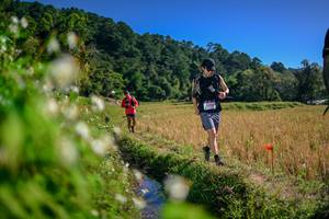 BIB: 
                            <button type="button" onclick="openModal(26575678)" class="btn btn-primary btn-sm float-right btn-popup" data-toggle="modal" data-target=".modal-high-quality">
                        <i class="fas fa-shopping-cart"></i> Add to Cart
                    </button>
                                            <button type="button" onclick="isThisMe(26575678, true)" class="btn btn-success btn-sm float-right btn-popup btn-isme hidden" data-toggle="tooltip" data-placement="bottom" title="นี่คือรูปของคุณใช่ไหม คลิกที่นี่เพื่อเอาเข้าอัลบั้ม">
                        <i class="fas fa-plus"></i> Add to album
                    </button>
                    <button type="button" onclick="isThisMe(26575678, false)" class="btn btn-warning btn-sm float-right btn-popup btn-isnotme hidden">
                        <i class="fas fa-ban"></i> Remove from album
                    </button>