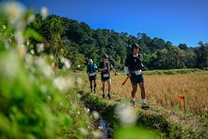 BIB: 
                            <button type="button" onclick="openModal(26574256)" class="btn btn-primary btn-sm float-right btn-popup" data-toggle="modal" data-target=".modal-high-quality">
                        <i class="fas fa-shopping-cart"></i> Add to Cart
                    </button>
                                            <button type="button" onclick="isThisMe(26574256, true)" class="btn btn-success btn-sm float-right btn-popup btn-isme hidden" data-toggle="tooltip" data-placement="bottom" title="นี่คือรูปของคุณใช่ไหม คลิกที่นี่เพื่อเอาเข้าอัลบั้ม">
                        <i class="fas fa-plus"></i> Add to album
                    </button>
                    <button type="button" onclick="isThisMe(26574256, false)" class="btn btn-warning btn-sm float-right btn-popup btn-isnotme hidden">
                        <i class="fas fa-ban"></i> Remove from album
                    </button>