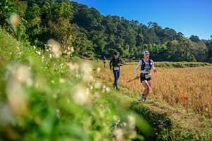 BIB: 
                            <button type="button" onclick="openModal(26570704)" class="btn btn-primary btn-sm float-right btn-popup" data-toggle="modal" data-target=".modal-high-quality">
                        <i class="fas fa-shopping-cart"></i> Add to Cart
                    </button>
                                            <button type="button" onclick="isThisMe(26570704, true)" class="btn btn-success btn-sm float-right btn-popup btn-isme hidden" data-toggle="tooltip" data-placement="bottom" title="นี่คือรูปของคุณใช่ไหม คลิกที่นี่เพื่อเอาเข้าอัลบั้ม">
                        <i class="fas fa-plus"></i> Add to album
                    </button>
                    <button type="button" onclick="isThisMe(26570704, false)" class="btn btn-warning btn-sm float-right btn-popup btn-isnotme hidden">
                        <i class="fas fa-ban"></i> Remove from album
                    </button>