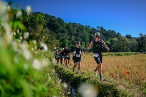 BIB: 
                            <button type="button" onclick="openModal(26574044)" class="btn btn-primary btn-sm float-right btn-popup" data-toggle="modal" data-target=".modal-high-quality">
                        <i class="fas fa-shopping-cart"></i> Add to Cart
                    </button>
                                            <button type="button" onclick="isThisMe(26574044, true)" class="btn btn-success btn-sm float-right btn-popup btn-isme hidden" data-toggle="tooltip" data-placement="bottom" title="นี่คือรูปของคุณใช่ไหม คลิกที่นี่เพื่อเอาเข้าอัลบั้ม">
                        <i class="fas fa-plus"></i> Add to album
                    </button>
                    <button type="button" onclick="isThisMe(26574044, false)" class="btn btn-warning btn-sm float-right btn-popup btn-isnotme hidden">
                        <i class="fas fa-ban"></i> Remove from album
                    </button>