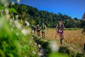 BIB: 
                            <button type="button" onclick="openModal(26574001)" class="btn btn-primary btn-sm float-right btn-popup" data-toggle="modal" data-target=".modal-high-quality">
                        <i class="fas fa-shopping-cart"></i> Add to Cart
                    </button>
                                            <button type="button" onclick="isThisMe(26574001, true)" class="btn btn-success btn-sm float-right btn-popup btn-isme hidden" data-toggle="tooltip" data-placement="bottom" title="นี่คือรูปของคุณใช่ไหม คลิกที่นี่เพื่อเอาเข้าอัลบั้ม">
                        <i class="fas fa-plus"></i> Add to album
                    </button>
                    <button type="button" onclick="isThisMe(26574001, false)" class="btn btn-warning btn-sm float-right btn-popup btn-isnotme hidden">
                        <i class="fas fa-ban"></i> Remove from album
                    </button>