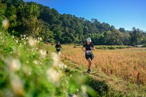 BIB: 
                            <button type="button" onclick="openModal(26570528)" class="btn btn-primary btn-sm float-right btn-popup" data-toggle="modal" data-target=".modal-high-quality">
                        <i class="fas fa-shopping-cart"></i> Add to Cart
                    </button>
                                            <button type="button" onclick="isThisMe(26570528, true)" class="btn btn-success btn-sm float-right btn-popup btn-isme hidden" data-toggle="tooltip" data-placement="bottom" title="นี่คือรูปของคุณใช่ไหม คลิกที่นี่เพื่อเอาเข้าอัลบั้ม">
                        <i class="fas fa-plus"></i> Add to album
                    </button>
                    <button type="button" onclick="isThisMe(26570528, false)" class="btn btn-warning btn-sm float-right btn-popup btn-isnotme hidden">
                        <i class="fas fa-ban"></i> Remove from album
                    </button>