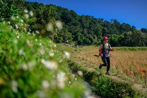 BIB: 
                            <button type="button" onclick="openModal(26583117)" class="btn btn-primary btn-sm float-right btn-popup" data-toggle="modal" data-target=".modal-high-quality">
                        <i class="fas fa-shopping-cart"></i> Add to Cart
                    </button>
                                            <button type="button" onclick="isThisMe(26583117, true)" class="btn btn-success btn-sm float-right btn-popup btn-isme hidden" data-toggle="tooltip" data-placement="bottom" title="นี่คือรูปของคุณใช่ไหม คลิกที่นี่เพื่อเอาเข้าอัลบั้ม">
                        <i class="fas fa-plus"></i> Add to album
                    </button>
                    <button type="button" onclick="isThisMe(26583117, false)" class="btn btn-warning btn-sm float-right btn-popup btn-isnotme hidden">
                        <i class="fas fa-ban"></i> Remove from album
                    </button>