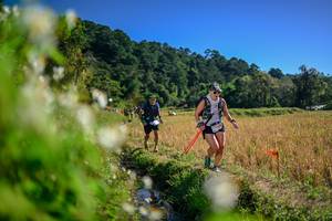 BIB: 
                            <button type="button" onclick="openModal(26574553)" class="btn btn-primary btn-sm float-right btn-popup" data-toggle="modal" data-target=".modal-high-quality">
                        <i class="fas fa-shopping-cart"></i> Add to Cart
                    </button>
                                            <button type="button" onclick="isThisMe(26574553, true)" class="btn btn-success btn-sm float-right btn-popup btn-isme hidden" data-toggle="tooltip" data-placement="bottom" title="นี่คือรูปของคุณใช่ไหม คลิกที่นี่เพื่อเอาเข้าอัลบั้ม">
                        <i class="fas fa-plus"></i> Add to album
                    </button>
                    <button type="button" onclick="isThisMe(26574553, false)" class="btn btn-warning btn-sm float-right btn-popup btn-isnotme hidden">
                        <i class="fas fa-ban"></i> Remove from album
                    </button>