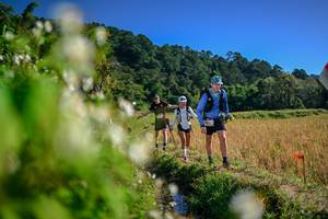 BIB: 
                            <button type="button" onclick="openModal(26574373)" class="btn btn-primary btn-sm float-right btn-popup" data-toggle="modal" data-target=".modal-high-quality">
                        <i class="fas fa-shopping-cart"></i> Add to Cart
                    </button>
                                            <button type="button" onclick="isThisMe(26574373, true)" class="btn btn-success btn-sm float-right btn-popup btn-isme hidden" data-toggle="tooltip" data-placement="bottom" title="นี่คือรูปของคุณใช่ไหม คลิกที่นี่เพื่อเอาเข้าอัลบั้ม">
                        <i class="fas fa-plus"></i> Add to album
                    </button>
                    <button type="button" onclick="isThisMe(26574373, false)" class="btn btn-warning btn-sm float-right btn-popup btn-isnotme hidden">
                        <i class="fas fa-ban"></i> Remove from album
                    </button>