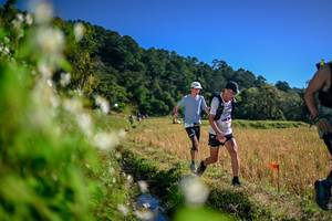 BIB: 
                            <button type="button" onclick="openModal(26574310)" class="btn btn-primary btn-sm float-right btn-popup" data-toggle="modal" data-target=".modal-high-quality">
                        <i class="fas fa-shopping-cart"></i> Add to Cart
                    </button>
                                            <button type="button" onclick="isThisMe(26574310, true)" class="btn btn-success btn-sm float-right btn-popup btn-isme hidden" data-toggle="tooltip" data-placement="bottom" title="นี่คือรูปของคุณใช่ไหม คลิกที่นี่เพื่อเอาเข้าอัลบั้ม">
                        <i class="fas fa-plus"></i> Add to album
                    </button>
                    <button type="button" onclick="isThisMe(26574310, false)" class="btn btn-warning btn-sm float-right btn-popup btn-isnotme hidden">
                        <i class="fas fa-ban"></i> Remove from album
                    </button>