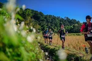 BIB: 
                            <button type="button" onclick="openModal(26572671)" class="btn btn-primary btn-sm float-right btn-popup" data-toggle="modal" data-target=".modal-high-quality">
                        <i class="fas fa-shopping-cart"></i> Add to Cart
                    </button>
                                            <button type="button" onclick="isThisMe(26572671, true)" class="btn btn-success btn-sm float-right btn-popup btn-isme hidden" data-toggle="tooltip" data-placement="bottom" title="นี่คือรูปของคุณใช่ไหม คลิกที่นี่เพื่อเอาเข้าอัลบั้ม">
                        <i class="fas fa-plus"></i> Add to album
                    </button>
                    <button type="button" onclick="isThisMe(26572671, false)" class="btn btn-warning btn-sm float-right btn-popup btn-isnotme hidden">
                        <i class="fas fa-ban"></i> Remove from album
                    </button>