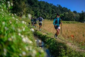 BIB: 
                            <button type="button" onclick="openModal(26581681)" class="btn btn-primary btn-sm float-right btn-popup" data-toggle="modal" data-target=".modal-high-quality">
                        <i class="fas fa-shopping-cart"></i> Add to Cart
                    </button>
                                            <button type="button" onclick="isThisMe(26581681, true)" class="btn btn-success btn-sm float-right btn-popup btn-isme hidden" data-toggle="tooltip" data-placement="bottom" title="นี่คือรูปของคุณใช่ไหม คลิกที่นี่เพื่อเอาเข้าอัลบั้ม">
                        <i class="fas fa-plus"></i> Add to album
                    </button>
                    <button type="button" onclick="isThisMe(26581681, false)" class="btn btn-warning btn-sm float-right btn-popup btn-isnotme hidden">
                        <i class="fas fa-ban"></i> Remove from album
                    </button>