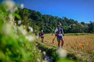 BIB: 
                            <button type="button" onclick="openModal(26574216)" class="btn btn-primary btn-sm float-right btn-popup" data-toggle="modal" data-target=".modal-high-quality">
                        <i class="fas fa-shopping-cart"></i> Add to Cart
                    </button>
                                            <button type="button" onclick="isThisMe(26574216, true)" class="btn btn-success btn-sm float-right btn-popup btn-isme hidden" data-toggle="tooltip" data-placement="bottom" title="นี่คือรูปของคุณใช่ไหม คลิกที่นี่เพื่อเอาเข้าอัลบั้ม">
                        <i class="fas fa-plus"></i> Add to album
                    </button>
                    <button type="button" onclick="isThisMe(26574216, false)" class="btn btn-warning btn-sm float-right btn-popup btn-isnotme hidden">
                        <i class="fas fa-ban"></i> Remove from album
                    </button>