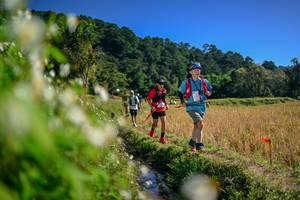 BIB: 
                            <button type="button" onclick="openModal(26574669)" class="btn btn-primary btn-sm float-right btn-popup" data-toggle="modal" data-target=".modal-high-quality">
                        <i class="fas fa-shopping-cart"></i> Add to Cart
                    </button>
                                            <button type="button" onclick="isThisMe(26574669, true)" class="btn btn-success btn-sm float-right btn-popup btn-isme hidden" data-toggle="tooltip" data-placement="bottom" title="นี่คือรูปของคุณใช่ไหม คลิกที่นี่เพื่อเอาเข้าอัลบั้ม">
                        <i class="fas fa-plus"></i> Add to album
                    </button>
                    <button type="button" onclick="isThisMe(26574669, false)" class="btn btn-warning btn-sm float-right btn-popup btn-isnotme hidden">
                        <i class="fas fa-ban"></i> Remove from album
                    </button>