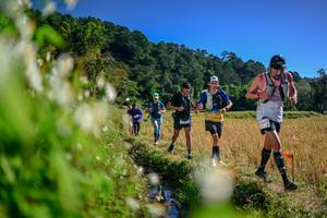 BIB: 
                            <button type="button" onclick="openModal(26573323)" class="btn btn-primary btn-sm float-right btn-popup" data-toggle="modal" data-target=".modal-high-quality">
                        <i class="fas fa-shopping-cart"></i> Add to Cart
                    </button>
                                            <button type="button" onclick="isThisMe(26573323, true)" class="btn btn-success btn-sm float-right btn-popup btn-isme hidden" data-toggle="tooltip" data-placement="bottom" title="นี่คือรูปของคุณใช่ไหม คลิกที่นี่เพื่อเอาเข้าอัลบั้ม">
                        <i class="fas fa-plus"></i> Add to album
                    </button>
                    <button type="button" onclick="isThisMe(26573323, false)" class="btn btn-warning btn-sm float-right btn-popup btn-isnotme hidden">
                        <i class="fas fa-ban"></i> Remove from album
                    </button>