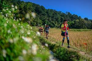 BIB: 
                            <button type="button" onclick="openModal(26583069)" class="btn btn-primary btn-sm float-right btn-popup" data-toggle="modal" data-target=".modal-high-quality">
                        <i class="fas fa-shopping-cart"></i> Add to Cart
                    </button>
                                            <button type="button" onclick="isThisMe(26583069, true)" class="btn btn-success btn-sm float-right btn-popup btn-isme hidden" data-toggle="tooltip" data-placement="bottom" title="นี่คือรูปของคุณใช่ไหม คลิกที่นี่เพื่อเอาเข้าอัลบั้ม">
                        <i class="fas fa-plus"></i> Add to album
                    </button>
                    <button type="button" onclick="isThisMe(26583069, false)" class="btn btn-warning btn-sm float-right btn-popup btn-isnotme hidden">
                        <i class="fas fa-ban"></i> Remove from album
                    </button>