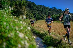 BIB: 
                            <button type="button" onclick="openModal(26581726)" class="btn btn-primary btn-sm float-right btn-popup" data-toggle="modal" data-target=".modal-high-quality">
                        <i class="fas fa-shopping-cart"></i> Add to Cart
                    </button>
                                            <button type="button" onclick="isThisMe(26581726, true)" class="btn btn-success btn-sm float-right btn-popup btn-isme hidden" data-toggle="tooltip" data-placement="bottom" title="นี่คือรูปของคุณใช่ไหม คลิกที่นี่เพื่อเอาเข้าอัลบั้ม">
                        <i class="fas fa-plus"></i> Add to album
                    </button>
                    <button type="button" onclick="isThisMe(26581726, false)" class="btn btn-warning btn-sm float-right btn-popup btn-isnotme hidden">
                        <i class="fas fa-ban"></i> Remove from album
                    </button>