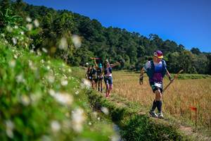 BIB: 
                            <button type="button" onclick="openModal(26582961)" class="btn btn-primary btn-sm float-right btn-popup" data-toggle="modal" data-target=".modal-high-quality">
                        <i class="fas fa-shopping-cart"></i> Add to Cart
                    </button>
                                            <button type="button" onclick="isThisMe(26582961, true)" class="btn btn-success btn-sm float-right btn-popup btn-isme hidden" data-toggle="tooltip" data-placement="bottom" title="นี่คือรูปของคุณใช่ไหม คลิกที่นี่เพื่อเอาเข้าอัลบั้ม">
                        <i class="fas fa-plus"></i> Add to album
                    </button>
                    <button type="button" onclick="isThisMe(26582961, false)" class="btn btn-warning btn-sm float-right btn-popup btn-isnotme hidden">
                        <i class="fas fa-ban"></i> Remove from album
                    </button>