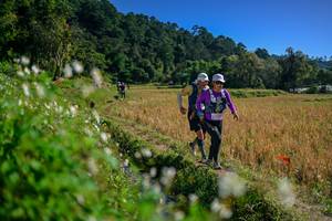 BIB: 
                            <button type="button" onclick="openModal(26576506)" class="btn btn-primary btn-sm float-right btn-popup" data-toggle="modal" data-target=".modal-high-quality">
                        <i class="fas fa-shopping-cart"></i> Add to Cart
                    </button>
                                            <button type="button" onclick="isThisMe(26576506, true)" class="btn btn-success btn-sm float-right btn-popup btn-isme hidden" data-toggle="tooltip" data-placement="bottom" title="นี่คือรูปของคุณใช่ไหม คลิกที่นี่เพื่อเอาเข้าอัลบั้ม">
                        <i class="fas fa-plus"></i> Add to album
                    </button>
                    <button type="button" onclick="isThisMe(26576506, false)" class="btn btn-warning btn-sm float-right btn-popup btn-isnotme hidden">
                        <i class="fas fa-ban"></i> Remove from album
                    </button>