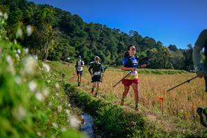 BIB: 
                            <button type="button" onclick="openModal(26575886)" class="btn btn-primary btn-sm float-right btn-popup" data-toggle="modal" data-target=".modal-high-quality">
                        <i class="fas fa-shopping-cart"></i> Add to Cart
                    </button>
                                            <button type="button" onclick="isThisMe(26575886, true)" class="btn btn-success btn-sm float-right btn-popup btn-isme hidden" data-toggle="tooltip" data-placement="bottom" title="นี่คือรูปของคุณใช่ไหม คลิกที่นี่เพื่อเอาเข้าอัลบั้ม">
                        <i class="fas fa-plus"></i> Add to album
                    </button>
                    <button type="button" onclick="isThisMe(26575886, false)" class="btn btn-warning btn-sm float-right btn-popup btn-isnotme hidden">
                        <i class="fas fa-ban"></i> Remove from album
                    </button>