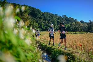 BIB: 
                            <button type="button" onclick="openModal(26571602)" class="btn btn-primary btn-sm float-right btn-popup" data-toggle="modal" data-target=".modal-high-quality">
                        <i class="fas fa-shopping-cart"></i> Add to Cart
                    </button>
                                            <button type="button" onclick="isThisMe(26571602, true)" class="btn btn-success btn-sm float-right btn-popup btn-isme hidden" data-toggle="tooltip" data-placement="bottom" title="นี่คือรูปของคุณใช่ไหม คลิกที่นี่เพื่อเอาเข้าอัลบั้ม">
                        <i class="fas fa-plus"></i> Add to album
                    </button>
                    <button type="button" onclick="isThisMe(26571602, false)" class="btn btn-warning btn-sm float-right btn-popup btn-isnotme hidden">
                        <i class="fas fa-ban"></i> Remove from album
                    </button>