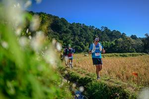 BIB: 
                            <button type="button" onclick="openModal(26572132)" class="btn btn-primary btn-sm float-right btn-popup" data-toggle="modal" data-target=".modal-high-quality">
                        <i class="fas fa-shopping-cart"></i> Add to Cart
                    </button>
                                            <button type="button" onclick="isThisMe(26572132, true)" class="btn btn-success btn-sm float-right btn-popup btn-isme hidden" data-toggle="tooltip" data-placement="bottom" title="นี่คือรูปของคุณใช่ไหม คลิกที่นี่เพื่อเอาเข้าอัลบั้ม">
                        <i class="fas fa-plus"></i> Add to album
                    </button>
                    <button type="button" onclick="isThisMe(26572132, false)" class="btn btn-warning btn-sm float-right btn-popup btn-isnotme hidden">
                        <i class="fas fa-ban"></i> Remove from album
                    </button>