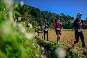 BIB: 
                            <button type="button" onclick="openModal(26573976)" class="btn btn-primary btn-sm float-right btn-popup" data-toggle="modal" data-target=".modal-high-quality">
                        <i class="fas fa-shopping-cart"></i> Add to Cart
                    </button>
                                            <button type="button" onclick="isThisMe(26573976, true)" class="btn btn-success btn-sm float-right btn-popup btn-isme hidden" data-toggle="tooltip" data-placement="bottom" title="นี่คือรูปของคุณใช่ไหม คลิกที่นี่เพื่อเอาเข้าอัลบั้ม">
                        <i class="fas fa-plus"></i> Add to album
                    </button>
                    <button type="button" onclick="isThisMe(26573976, false)" class="btn btn-warning btn-sm float-right btn-popup btn-isnotme hidden">
                        <i class="fas fa-ban"></i> Remove from album
                    </button>