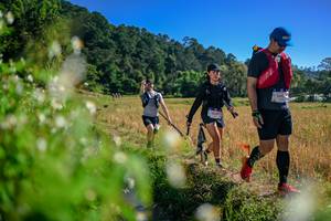 BIB: 
                            <button type="button" onclick="openModal(26579643)" class="btn btn-primary btn-sm float-right btn-popup" data-toggle="modal" data-target=".modal-high-quality">
                        <i class="fas fa-shopping-cart"></i> Add to Cart
                    </button>
                                            <button type="button" onclick="isThisMe(26579643, true)" class="btn btn-success btn-sm float-right btn-popup btn-isme hidden" data-toggle="tooltip" data-placement="bottom" title="นี่คือรูปของคุณใช่ไหม คลิกที่นี่เพื่อเอาเข้าอัลบั้ม">
                        <i class="fas fa-plus"></i> Add to album
                    </button>
                    <button type="button" onclick="isThisMe(26579643, false)" class="btn btn-warning btn-sm float-right btn-popup btn-isnotme hidden">
                        <i class="fas fa-ban"></i> Remove from album
                    </button>