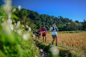 BIB: 
                            <button type="button" onclick="openModal(26572636)" class="btn btn-primary btn-sm float-right btn-popup" data-toggle="modal" data-target=".modal-high-quality">
                        <i class="fas fa-shopping-cart"></i> Add to Cart
                    </button>
                                            <button type="button" onclick="isThisMe(26572636, true)" class="btn btn-success btn-sm float-right btn-popup btn-isme hidden" data-toggle="tooltip" data-placement="bottom" title="นี่คือรูปของคุณใช่ไหม คลิกที่นี่เพื่อเอาเข้าอัลบั้ม">
                        <i class="fas fa-plus"></i> Add to album
                    </button>
                    <button type="button" onclick="isThisMe(26572636, false)" class="btn btn-warning btn-sm float-right btn-popup btn-isnotme hidden">
                        <i class="fas fa-ban"></i> Remove from album
                    </button>