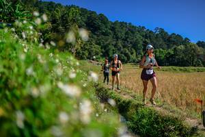 BIB: 
                            <button type="button" onclick="openModal(26583097)" class="btn btn-primary btn-sm float-right btn-popup" data-toggle="modal" data-target=".modal-high-quality">
                        <i class="fas fa-shopping-cart"></i> Add to Cart
                    </button>
                                            <button type="button" onclick="isThisMe(26583097, true)" class="btn btn-success btn-sm float-right btn-popup btn-isme hidden" data-toggle="tooltip" data-placement="bottom" title="นี่คือรูปของคุณใช่ไหม คลิกที่นี่เพื่อเอาเข้าอัลบั้ม">
                        <i class="fas fa-plus"></i> Add to album
                    </button>
                    <button type="button" onclick="isThisMe(26583097, false)" class="btn btn-warning btn-sm float-right btn-popup btn-isnotme hidden">
                        <i class="fas fa-ban"></i> Remove from album
                    </button>