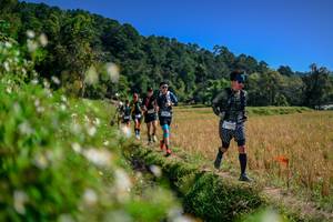 BIB: 
                            <button type="button" onclick="openModal(26582040)" class="btn btn-primary btn-sm float-right btn-popup" data-toggle="modal" data-target=".modal-high-quality">
                        <i class="fas fa-shopping-cart"></i> Add to Cart
                    </button>
                                            <button type="button" onclick="isThisMe(26582040, true)" class="btn btn-success btn-sm float-right btn-popup btn-isme hidden" data-toggle="tooltip" data-placement="bottom" title="นี่คือรูปของคุณใช่ไหม คลิกที่นี่เพื่อเอาเข้าอัลบั้ม">
                        <i class="fas fa-plus"></i> Add to album
                    </button>
                    <button type="button" onclick="isThisMe(26582040, false)" class="btn btn-warning btn-sm float-right btn-popup btn-isnotme hidden">
                        <i class="fas fa-ban"></i> Remove from album
                    </button>