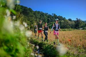 BIB: 
                            <button type="button" onclick="openModal(26574109)" class="btn btn-primary btn-sm float-right btn-popup" data-toggle="modal" data-target=".modal-high-quality">
                        <i class="fas fa-shopping-cart"></i> Add to Cart
                    </button>
                                            <button type="button" onclick="isThisMe(26574109, true)" class="btn btn-success btn-sm float-right btn-popup btn-isme hidden" data-toggle="tooltip" data-placement="bottom" title="นี่คือรูปของคุณใช่ไหม คลิกที่นี่เพื่อเอาเข้าอัลบั้ม">
                        <i class="fas fa-plus"></i> Add to album
                    </button>
                    <button type="button" onclick="isThisMe(26574109, false)" class="btn btn-warning btn-sm float-right btn-popup btn-isnotme hidden">
                        <i class="fas fa-ban"></i> Remove from album
                    </button>