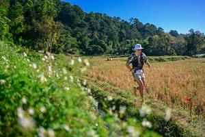 BIB: 
                            <button type="button" onclick="openModal(26571268)" class="btn btn-primary btn-sm float-right btn-popup" data-toggle="modal" data-target=".modal-high-quality">
                        <i class="fas fa-shopping-cart"></i> Add to Cart
                    </button>
                                            <button type="button" onclick="isThisMe(26571268, true)" class="btn btn-success btn-sm float-right btn-popup btn-isme hidden" data-toggle="tooltip" data-placement="bottom" title="นี่คือรูปของคุณใช่ไหม คลิกที่นี่เพื่อเอาเข้าอัลบั้ม">
                        <i class="fas fa-plus"></i> Add to album
                    </button>
                    <button type="button" onclick="isThisMe(26571268, false)" class="btn btn-warning btn-sm float-right btn-popup btn-isnotme hidden">
                        <i class="fas fa-ban"></i> Remove from album
                    </button>