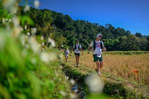 BIB: 
                            <button type="button" onclick="openModal(26573723)" class="btn btn-primary btn-sm float-right btn-popup" data-toggle="modal" data-target=".modal-high-quality">
                        <i class="fas fa-shopping-cart"></i> Add to Cart
                    </button>
                                            <button type="button" onclick="isThisMe(26573723, true)" class="btn btn-success btn-sm float-right btn-popup btn-isme hidden" data-toggle="tooltip" data-placement="bottom" title="นี่คือรูปของคุณใช่ไหม คลิกที่นี่เพื่อเอาเข้าอัลบั้ม">
                        <i class="fas fa-plus"></i> Add to album
                    </button>
                    <button type="button" onclick="isThisMe(26573723, false)" class="btn btn-warning btn-sm float-right btn-popup btn-isnotme hidden">
                        <i class="fas fa-ban"></i> Remove from album
                    </button>