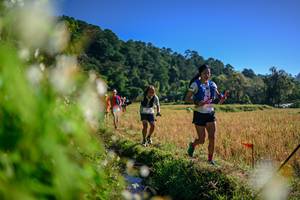 BIB: 
                            <button type="button" onclick="openModal(26572188)" class="btn btn-primary btn-sm float-right btn-popup" data-toggle="modal" data-target=".modal-high-quality">
                        <i class="fas fa-shopping-cart"></i> Add to Cart
                    </button>
                                            <button type="button" onclick="isThisMe(26572188, true)" class="btn btn-success btn-sm float-right btn-popup btn-isme hidden" data-toggle="tooltip" data-placement="bottom" title="นี่คือรูปของคุณใช่ไหม คลิกที่นี่เพื่อเอาเข้าอัลบั้ม">
                        <i class="fas fa-plus"></i> Add to album
                    </button>
                    <button type="button" onclick="isThisMe(26572188, false)" class="btn btn-warning btn-sm float-right btn-popup btn-isnotme hidden">
                        <i class="fas fa-ban"></i> Remove from album
                    </button>