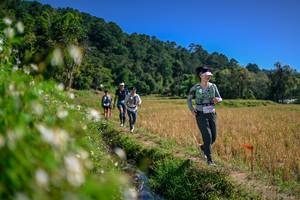 BIB: 
                            <button type="button" onclick="openModal(26582626)" class="btn btn-primary btn-sm float-right btn-popup" data-toggle="modal" data-target=".modal-high-quality">
                        <i class="fas fa-shopping-cart"></i> Add to Cart
                    </button>
                                            <button type="button" onclick="isThisMe(26582626, true)" class="btn btn-success btn-sm float-right btn-popup btn-isme hidden" data-toggle="tooltip" data-placement="bottom" title="นี่คือรูปของคุณใช่ไหม คลิกที่นี่เพื่อเอาเข้าอัลบั้ม">
                        <i class="fas fa-plus"></i> Add to album
                    </button>
                    <button type="button" onclick="isThisMe(26582626, false)" class="btn btn-warning btn-sm float-right btn-popup btn-isnotme hidden">
                        <i class="fas fa-ban"></i> Remove from album
                    </button>