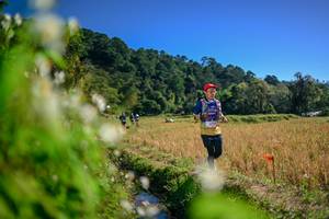 BIB: 
                            <button type="button" onclick="openModal(26574744)" class="btn btn-primary btn-sm float-right btn-popup" data-toggle="modal" data-target=".modal-high-quality">
                        <i class="fas fa-shopping-cart"></i> Add to Cart
                    </button>
                                            <button type="button" onclick="isThisMe(26574744, true)" class="btn btn-success btn-sm float-right btn-popup btn-isme hidden" data-toggle="tooltip" data-placement="bottom" title="นี่คือรูปของคุณใช่ไหม คลิกที่นี่เพื่อเอาเข้าอัลบั้ม">
                        <i class="fas fa-plus"></i> Add to album
                    </button>
                    <button type="button" onclick="isThisMe(26574744, false)" class="btn btn-warning btn-sm float-right btn-popup btn-isnotme hidden">
                        <i class="fas fa-ban"></i> Remove from album
                    </button>