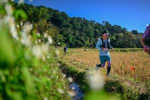 BIB: 
                            <button type="button" onclick="openModal(26573376)" class="btn btn-primary btn-sm float-right btn-popup" data-toggle="modal" data-target=".modal-high-quality">
                        <i class="fas fa-shopping-cart"></i> Add to Cart
                    </button>
                                            <button type="button" onclick="isThisMe(26573376, true)" class="btn btn-success btn-sm float-right btn-popup btn-isme hidden" data-toggle="tooltip" data-placement="bottom" title="นี่คือรูปของคุณใช่ไหม คลิกที่นี่เพื่อเอาเข้าอัลบั้ม">
                        <i class="fas fa-plus"></i> Add to album
                    </button>
                    <button type="button" onclick="isThisMe(26573376, false)" class="btn btn-warning btn-sm float-right btn-popup btn-isnotme hidden">
                        <i class="fas fa-ban"></i> Remove from album
                    </button>