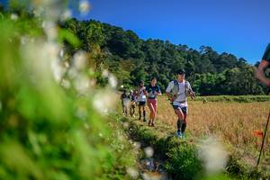 BIB: 
                            <button type="button" onclick="openModal(26573276)" class="btn btn-primary btn-sm float-right btn-popup" data-toggle="modal" data-target=".modal-high-quality">
                        <i class="fas fa-shopping-cart"></i> Add to Cart
                    </button>
                                            <button type="button" onclick="isThisMe(26573276, true)" class="btn btn-success btn-sm float-right btn-popup btn-isme hidden" data-toggle="tooltip" data-placement="bottom" title="นี่คือรูปของคุณใช่ไหม คลิกที่นี่เพื่อเอาเข้าอัลบั้ม">
                        <i class="fas fa-plus"></i> Add to album
                    </button>
                    <button type="button" onclick="isThisMe(26573276, false)" class="btn btn-warning btn-sm float-right btn-popup btn-isnotme hidden">
                        <i class="fas fa-ban"></i> Remove from album
                    </button>