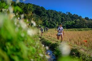 BIB: 
                            <button type="button" onclick="openModal(26573748)" class="btn btn-primary btn-sm float-right btn-popup" data-toggle="modal" data-target=".modal-high-quality">
                        <i class="fas fa-shopping-cart"></i> Add to Cart
                    </button>
                                            <button type="button" onclick="isThisMe(26573748, true)" class="btn btn-success btn-sm float-right btn-popup btn-isme hidden" data-toggle="tooltip" data-placement="bottom" title="นี่คือรูปของคุณใช่ไหม คลิกที่นี่เพื่อเอาเข้าอัลบั้ม">
                        <i class="fas fa-plus"></i> Add to album
                    </button>
                    <button type="button" onclick="isThisMe(26573748, false)" class="btn btn-warning btn-sm float-right btn-popup btn-isnotme hidden">
                        <i class="fas fa-ban"></i> Remove from album
                    </button>