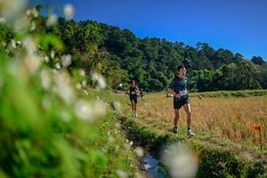 BIB: 
                            <button type="button" onclick="openModal(26573800)" class="btn btn-primary btn-sm float-right btn-popup" data-toggle="modal" data-target=".modal-high-quality">
                        <i class="fas fa-shopping-cart"></i> Add to Cart
                    </button>
                                            <button type="button" onclick="isThisMe(26573800, true)" class="btn btn-success btn-sm float-right btn-popup btn-isme hidden" data-toggle="tooltip" data-placement="bottom" title="นี่คือรูปของคุณใช่ไหม คลิกที่นี่เพื่อเอาเข้าอัลบั้ม">
                        <i class="fas fa-plus"></i> Add to album
                    </button>
                    <button type="button" onclick="isThisMe(26573800, false)" class="btn btn-warning btn-sm float-right btn-popup btn-isnotme hidden">
                        <i class="fas fa-ban"></i> Remove from album
                    </button>