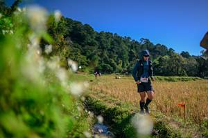 BIB: 
                            <button type="button" onclick="openModal(26573674)" class="btn btn-primary btn-sm float-right btn-popup" data-toggle="modal" data-target=".modal-high-quality">
                        <i class="fas fa-shopping-cart"></i> Add to Cart
                    </button>
                                            <button type="button" onclick="isThisMe(26573674, true)" class="btn btn-success btn-sm float-right btn-popup btn-isme hidden" data-toggle="tooltip" data-placement="bottom" title="นี่คือรูปของคุณใช่ไหม คลิกที่นี่เพื่อเอาเข้าอัลบั้ม">
                        <i class="fas fa-plus"></i> Add to album
                    </button>
                    <button type="button" onclick="isThisMe(26573674, false)" class="btn btn-warning btn-sm float-right btn-popup btn-isnotme hidden">
                        <i class="fas fa-ban"></i> Remove from album
                    </button>