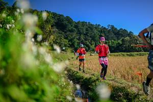 BIB: 
                            <button type="button" onclick="openModal(26574194)" class="btn btn-primary btn-sm float-right btn-popup" data-toggle="modal" data-target=".modal-high-quality">
                        <i class="fas fa-shopping-cart"></i> Add to Cart
                    </button>
                                            <button type="button" onclick="isThisMe(26574194, true)" class="btn btn-success btn-sm float-right btn-popup btn-isme hidden" data-toggle="tooltip" data-placement="bottom" title="นี่คือรูปของคุณใช่ไหม คลิกที่นี่เพื่อเอาเข้าอัลบั้ม">
                        <i class="fas fa-plus"></i> Add to album
                    </button>
                    <button type="button" onclick="isThisMe(26574194, false)" class="btn btn-warning btn-sm float-right btn-popup btn-isnotme hidden">
                        <i class="fas fa-ban"></i> Remove from album
                    </button>