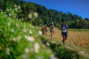 BIB: 
                            <button type="button" onclick="openModal(26583081)" class="btn btn-primary btn-sm float-right btn-popup" data-toggle="modal" data-target=".modal-high-quality">
                        <i class="fas fa-shopping-cart"></i> Add to Cart
                    </button>
                                            <button type="button" onclick="isThisMe(26583081, true)" class="btn btn-success btn-sm float-right btn-popup btn-isme hidden" data-toggle="tooltip" data-placement="bottom" title="นี่คือรูปของคุณใช่ไหม คลิกที่นี่เพื่อเอาเข้าอัลบั้ม">
                        <i class="fas fa-plus"></i> Add to album
                    </button>
                    <button type="button" onclick="isThisMe(26583081, false)" class="btn btn-warning btn-sm float-right btn-popup btn-isnotme hidden">
                        <i class="fas fa-ban"></i> Remove from album
                    </button>