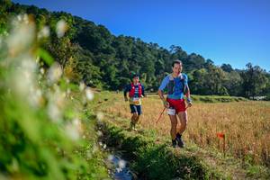 BIB: 
                            <button type="button" onclick="openModal(26571497)" class="btn btn-primary btn-sm float-right btn-popup" data-toggle="modal" data-target=".modal-high-quality">
                        <i class="fas fa-shopping-cart"></i> Add to Cart
                    </button>
                                            <button type="button" onclick="isThisMe(26571497, true)" class="btn btn-success btn-sm float-right btn-popup btn-isme hidden" data-toggle="tooltip" data-placement="bottom" title="นี่คือรูปของคุณใช่ไหม คลิกที่นี่เพื่อเอาเข้าอัลบั้ม">
                        <i class="fas fa-plus"></i> Add to album
                    </button>
                    <button type="button" onclick="isThisMe(26571497, false)" class="btn btn-warning btn-sm float-right btn-popup btn-isnotme hidden">
                        <i class="fas fa-ban"></i> Remove from album
                    </button>